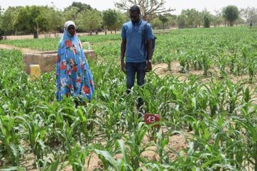 A mercy corps team member talks with a woman in a large field of green crops.
