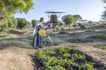 Woman waters vegetables in her communal garden