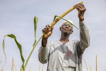 Niger community member inspecting crops.