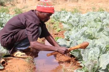 Market Gardening participant in Niger.