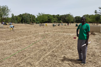 A Nigerien farmer stands in a large field, in front of a number of workers.