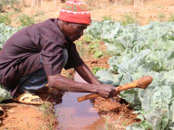 Market gardening participant in niger.