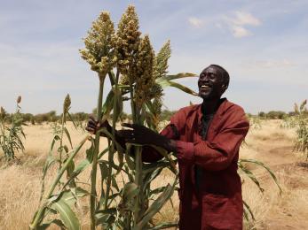 Nigerian man smiling with agricultural crop.